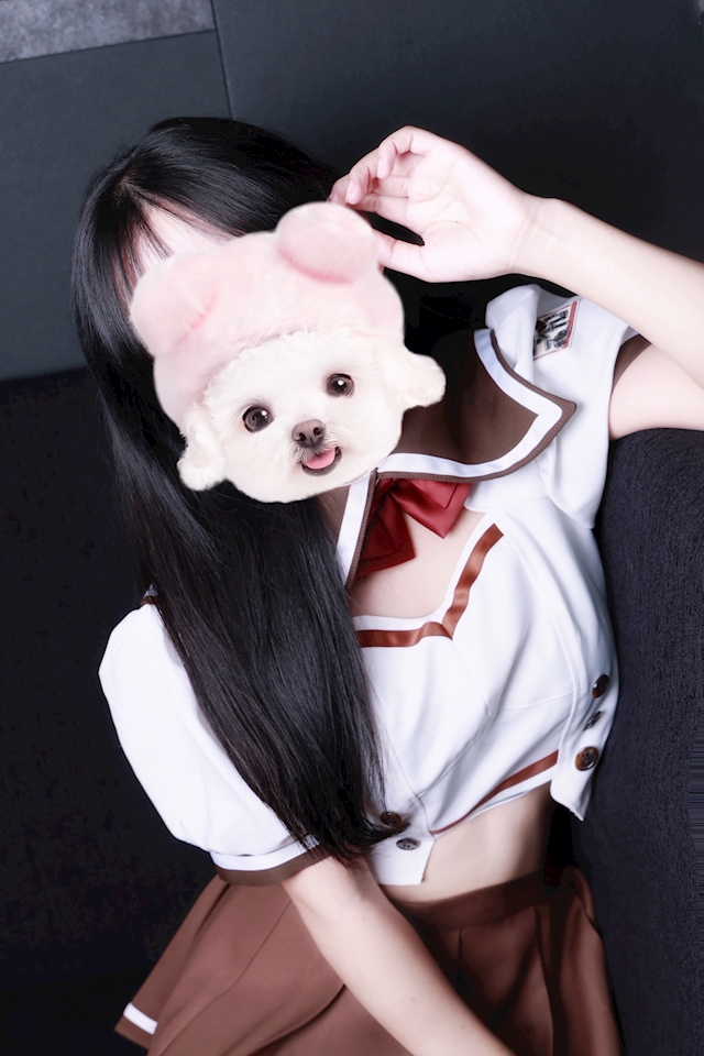 【WordPress】サムネイルをクリックすると画像が切り替わるコンテンツを作る方法、動作不具合時の対応|Knowledge Base